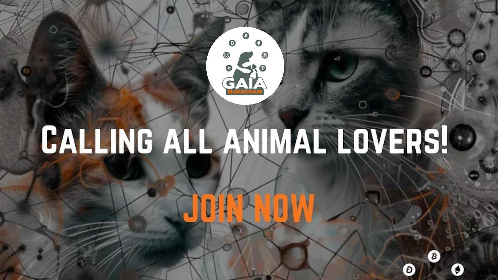Invest in GAIA: Transforming Animal Welfare with Blockchain Technology